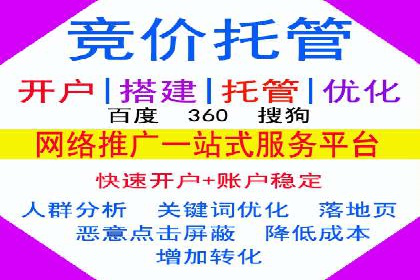 SEM竞价优化实战经验分享：成功案例背后的秘密
